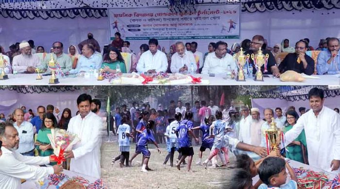 নবাবগঞ্জে প্রাথমিক বিদ্যালয় - গোল্ড কাপ ফাইনালে উৎসবমুখর পরিবেশ