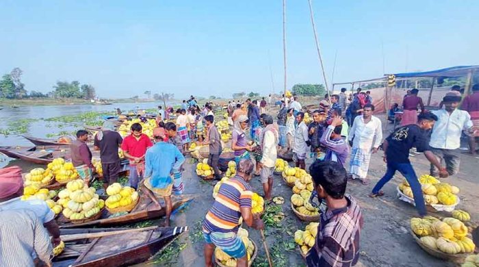 প্রাচীন স্বাদ ও স্বাস্থ্যের খোরাক - ভাঙ্গাভিটার বাঙ্গি