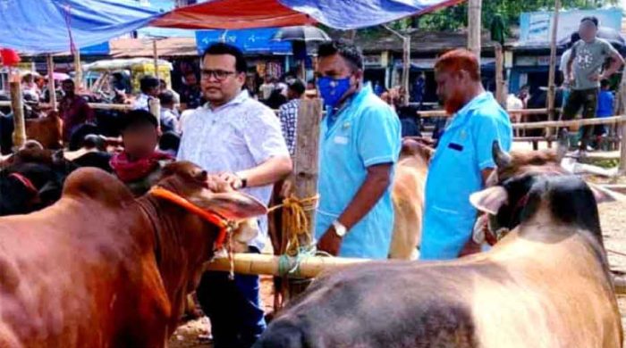 যানজট এড়াতে সড়কের বাইরে পশুর হাট চায় সচেতন মহল